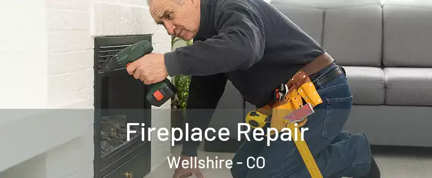 Fireplace Repair Wellshire - CO