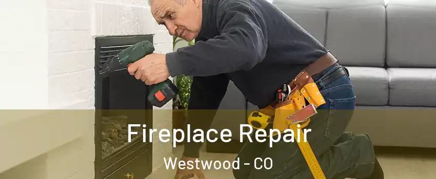 Fireplace Repair Westwood - CO