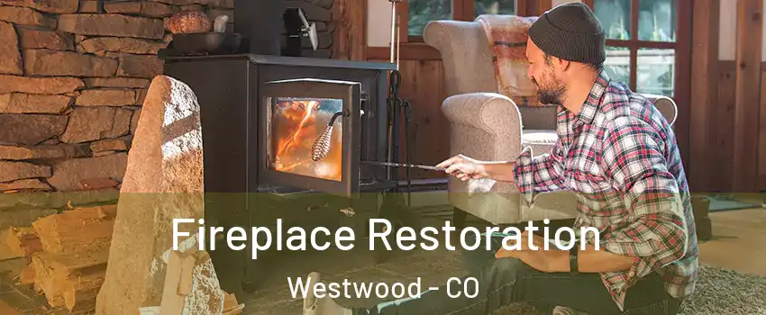 Fireplace Restoration Westwood - CO