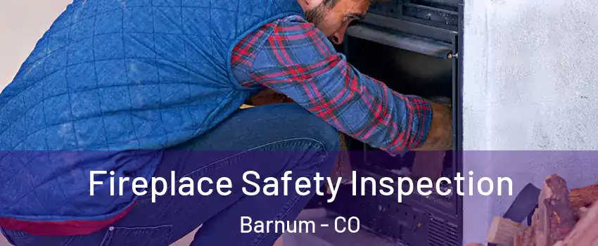 Fireplace Safety Inspection Barnum - CO