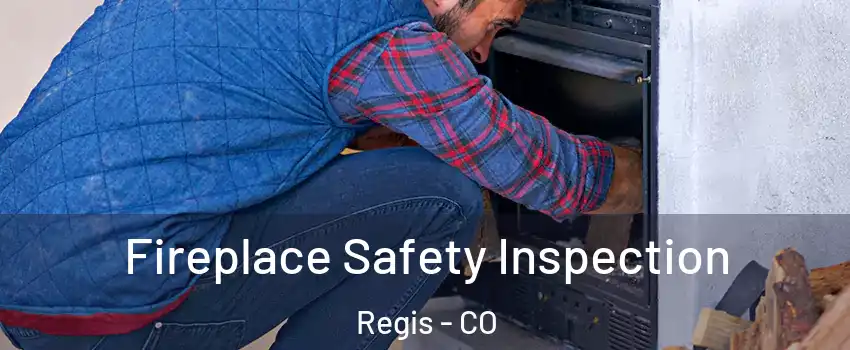 Fireplace Safety Inspection Regis - CO