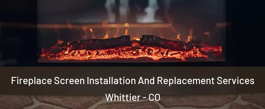 Fireplace Screen Installation And Replacement Services Whittier - CO