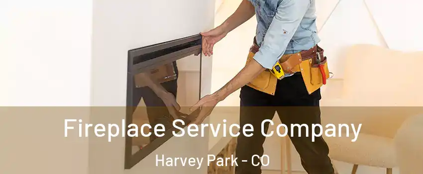 Fireplace Service Company Harvey Park - CO