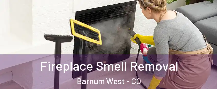 Fireplace Smell Removal Barnum West - CO