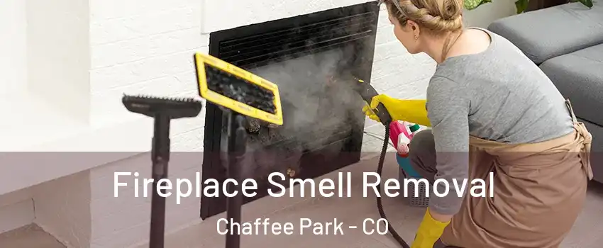 Fireplace Smell Removal Chaffee Park - CO