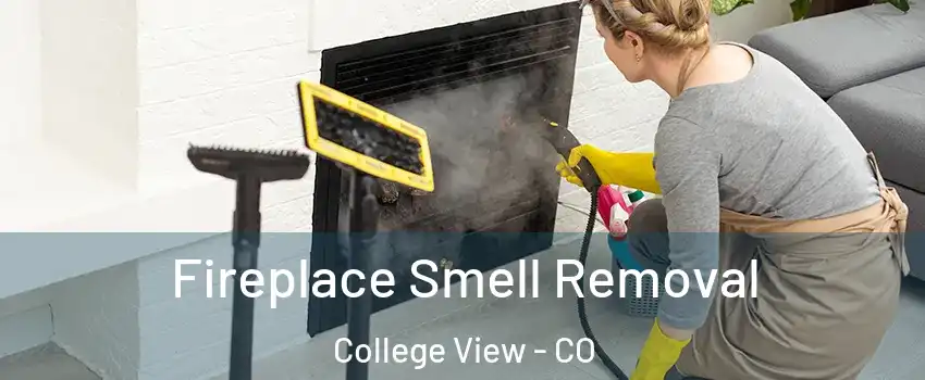 Fireplace Smell Removal College View - CO