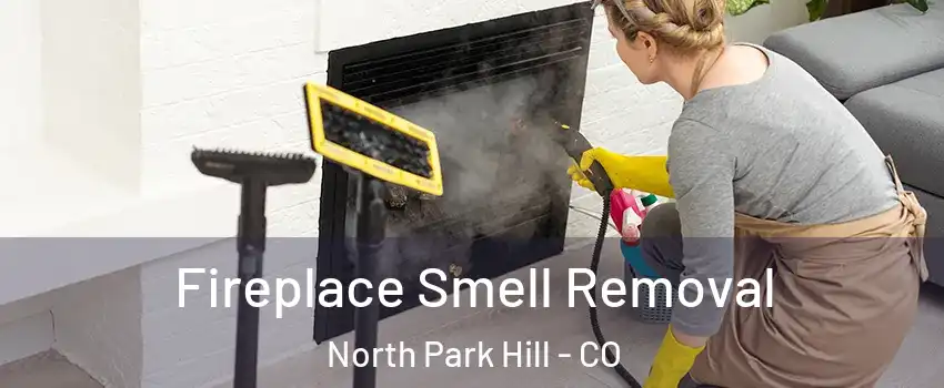 Fireplace Smell Removal North Park Hill - CO