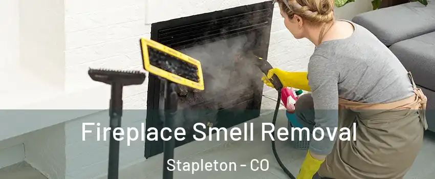 Fireplace Smell Removal Stapleton - CO