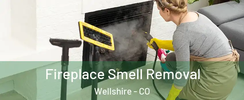 Fireplace Smell Removal Wellshire - CO