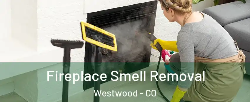 Fireplace Smell Removal Westwood - CO