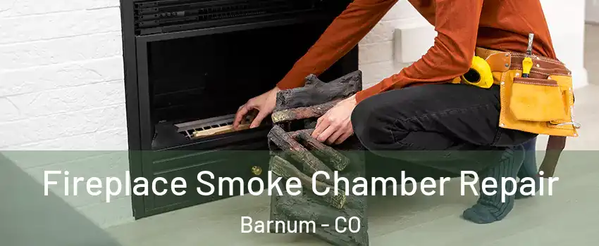 Fireplace Smoke Chamber Repair Barnum - CO