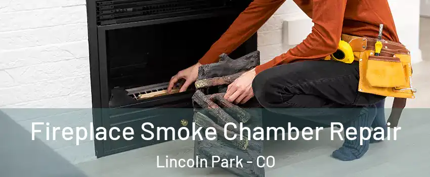 Fireplace Smoke Chamber Repair Lincoln Park - CO