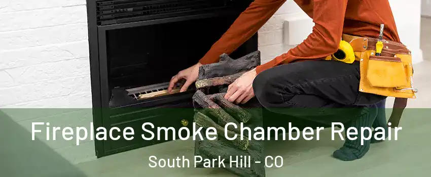 Fireplace Smoke Chamber Repair South Park Hill - CO