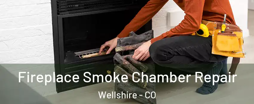 Fireplace Smoke Chamber Repair Wellshire - CO