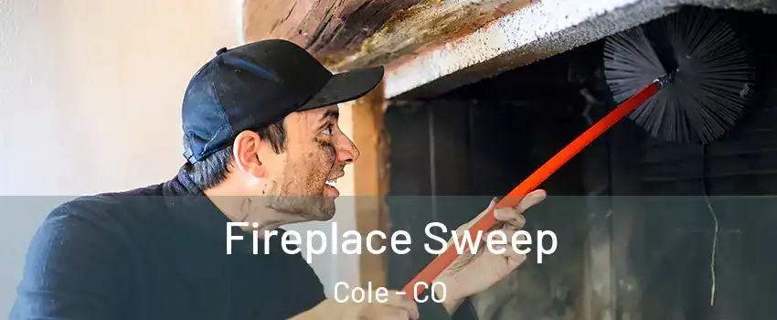 Fireplace Sweep Cole - CO