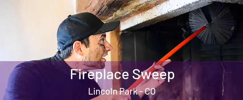 Fireplace Sweep Lincoln Park - CO