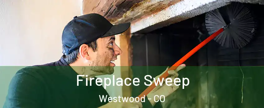 Fireplace Sweep Westwood - CO