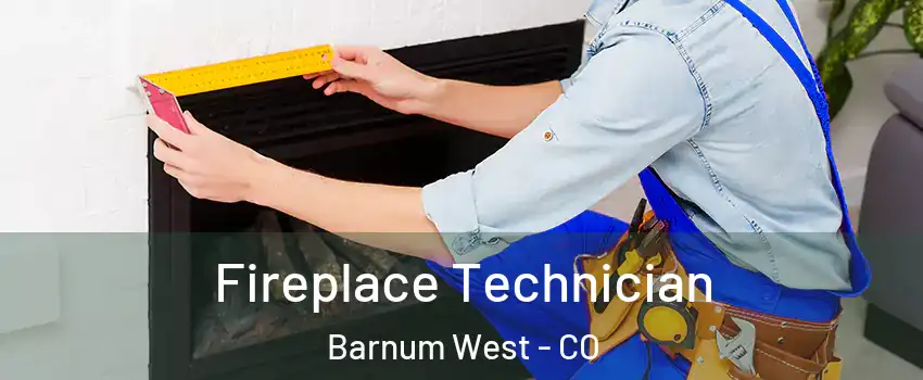 Fireplace Technician Barnum West - CO