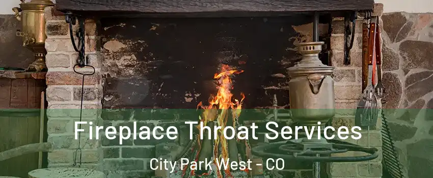 Fireplace Throat Services City Park West - CO