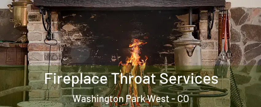 Fireplace Throat Services Washington Park West - CO