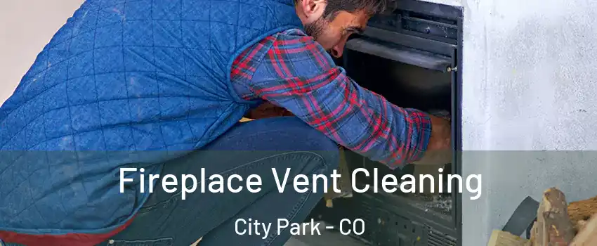 Fireplace Vent Cleaning City Park - CO