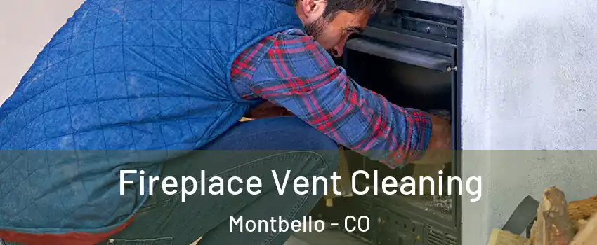 Fireplace Vent Cleaning Montbello - CO