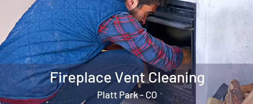 Fireplace Vent Cleaning Platt Park - CO