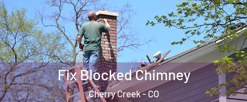 Fix Blocked Chimney Cherry Creek - CO