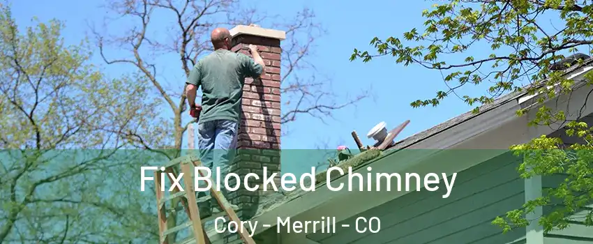 Fix Blocked Chimney Cory - Merrill - CO