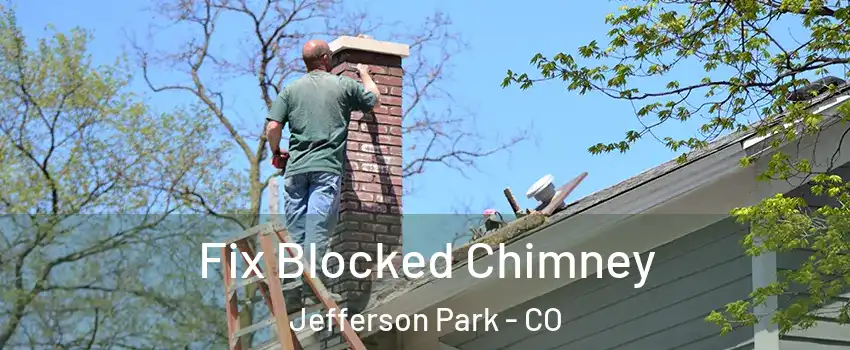 Fix Blocked Chimney Jefferson Park - CO