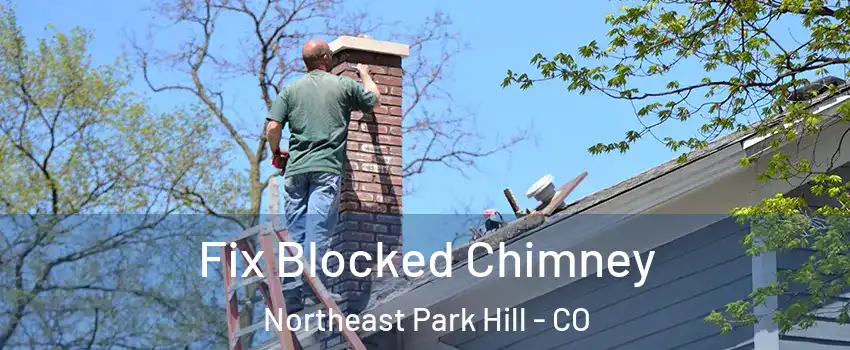 Fix Blocked Chimney Northeast Park Hill - CO