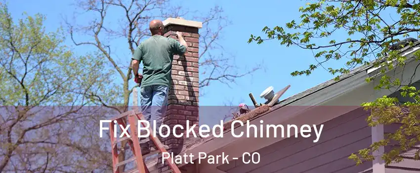 Fix Blocked Chimney Platt Park - CO