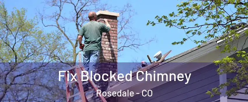 Fix Blocked Chimney Rosedale - CO