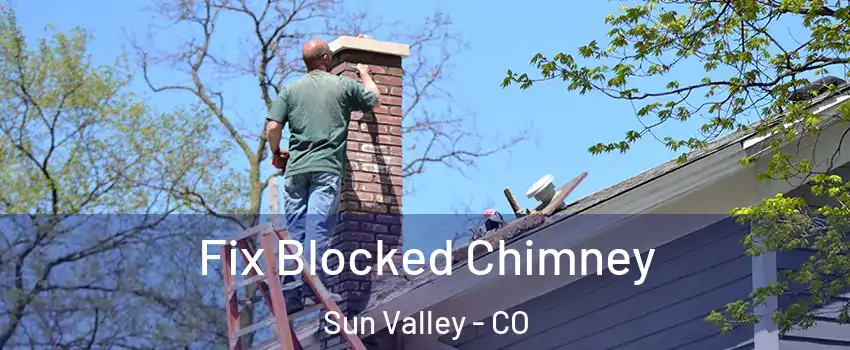 Fix Blocked Chimney Sun Valley - CO