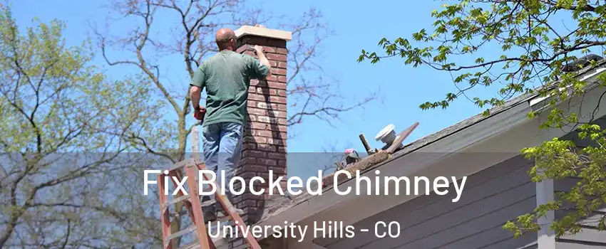 Fix Blocked Chimney University Hills - CO