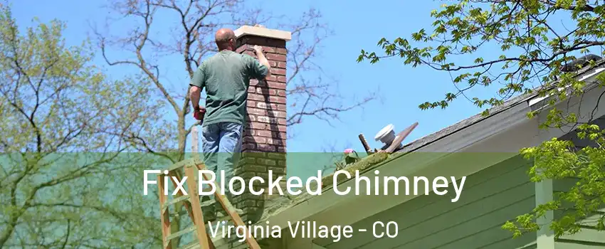 Fix Blocked Chimney Virginia Village - CO