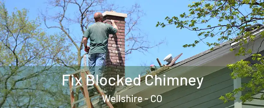 Fix Blocked Chimney Wellshire - CO