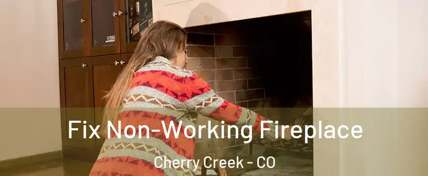 Fix Non-Working Fireplace Cherry Creek - CO