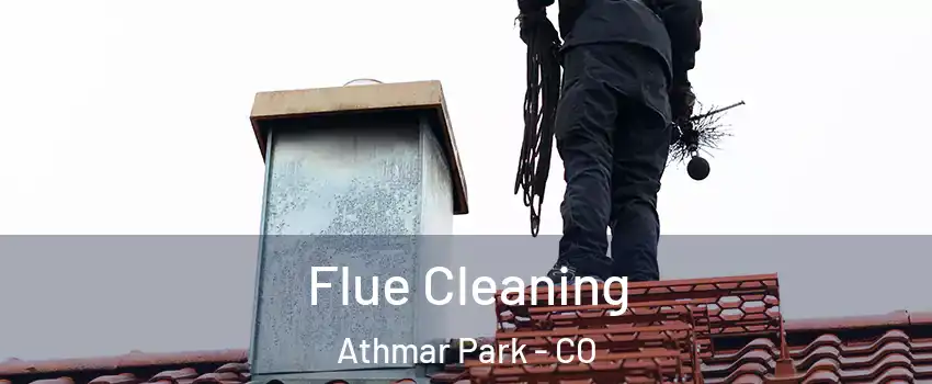 Flue Cleaning Athmar Park - CO