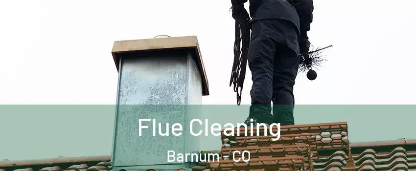 Flue Cleaning Barnum - CO