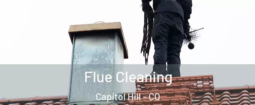 Flue Cleaning Capitol Hill - CO