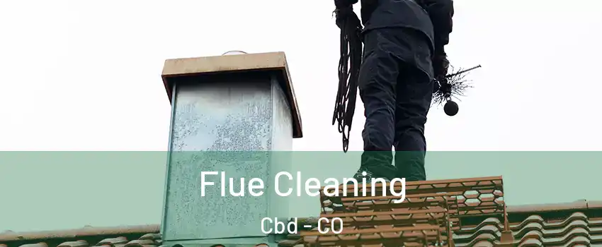 Flue Cleaning Cbd - CO