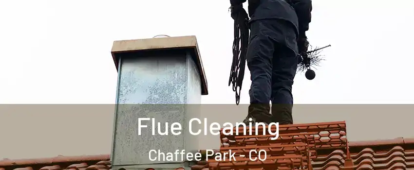 Flue Cleaning Chaffee Park - CO