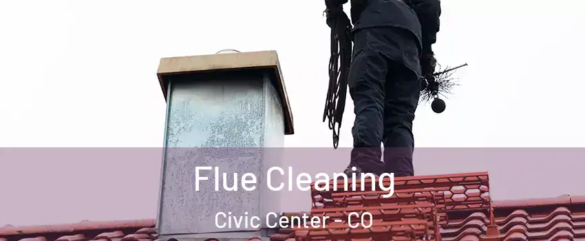 Flue Cleaning Civic Center - CO