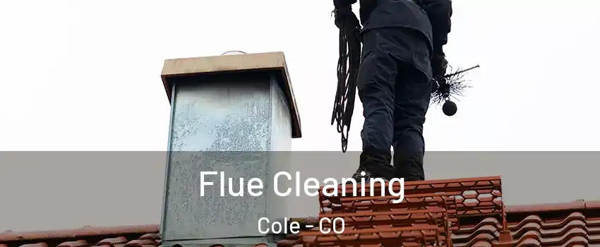 Flue Cleaning Cole - CO