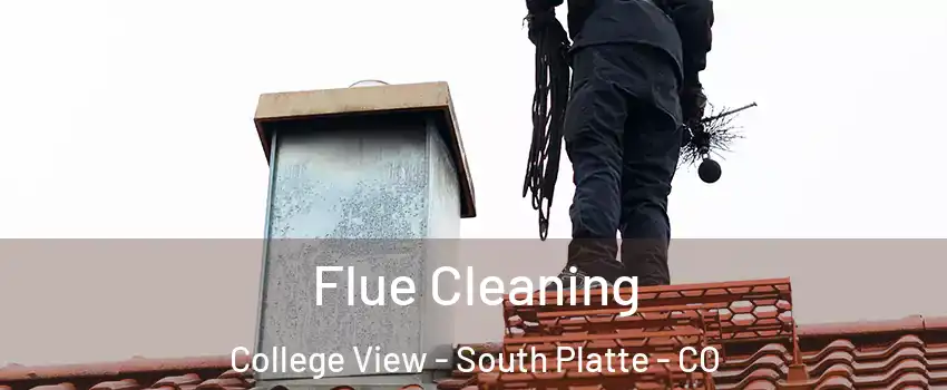 Flue Cleaning College View - South Platte - CO