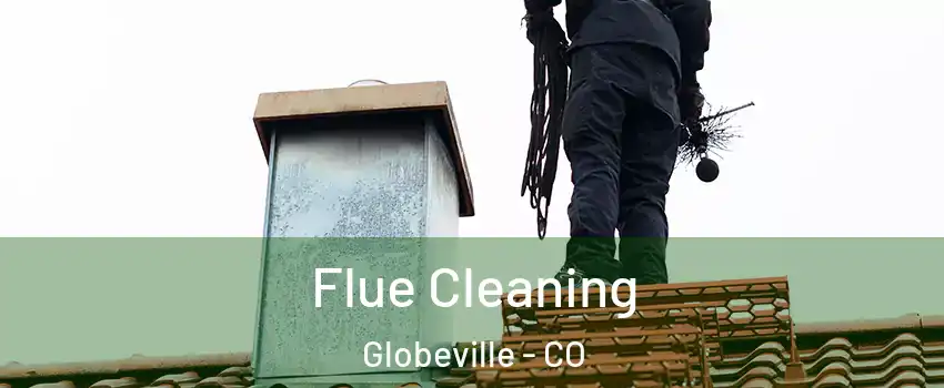 Flue Cleaning Globeville - CO