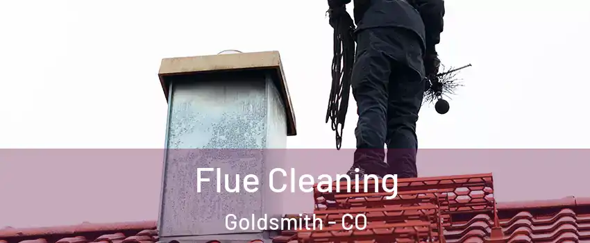 Flue Cleaning Goldsmith - CO