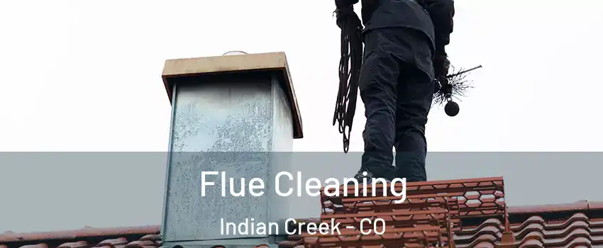 Flue Cleaning Indian Creek - CO