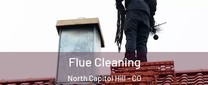 Flue Cleaning North Capitol Hill - CO